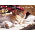 【S17】 こねこのせかい 2024 Kitten Cale 永岡書店のカレンダー
