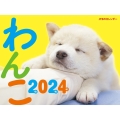 JTBのカレンダー わんこ 2024 壁掛け 犬 カレンダー2024