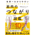 世界一わかりやすい 筋肉のつながり図鑑