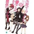 お兄ちゃんだけど愛さえあれば関係ないよねっ 12 MF文庫 J す 5-13