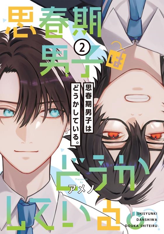 思春期男子はどうかしている。 2 電撃コミックスNEXT N 487-02