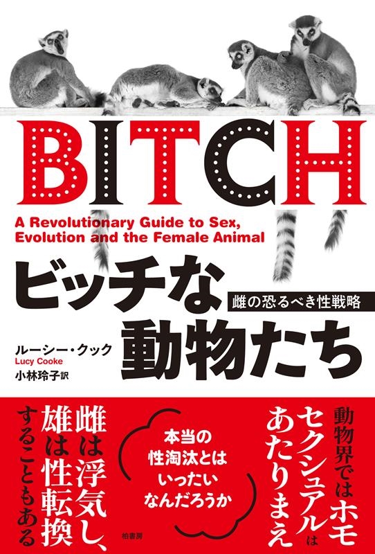 ビッチな動物たち 雌の恐るべき性戦略 ビッチな動物たち 雌の恐るべき性戦略