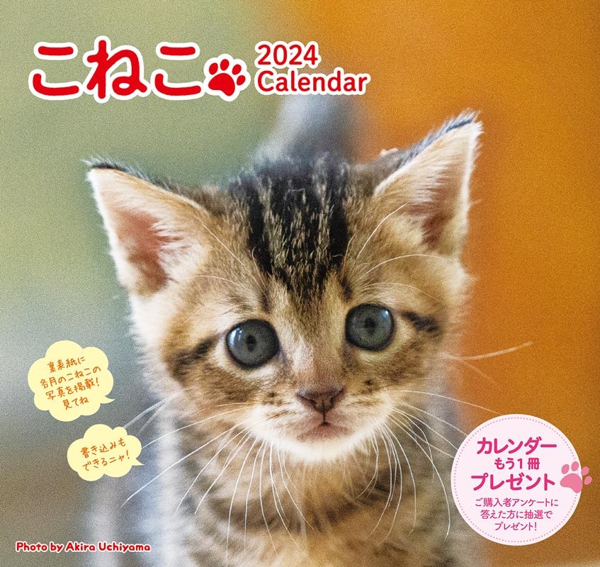 こねこカレンダー 2024 こねこカレンダー 2024