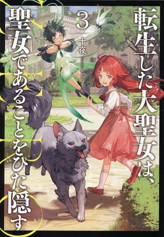 転生した大聖女は、聖女であることをひた隠すZERO 3 EARTH STAR NOVEL