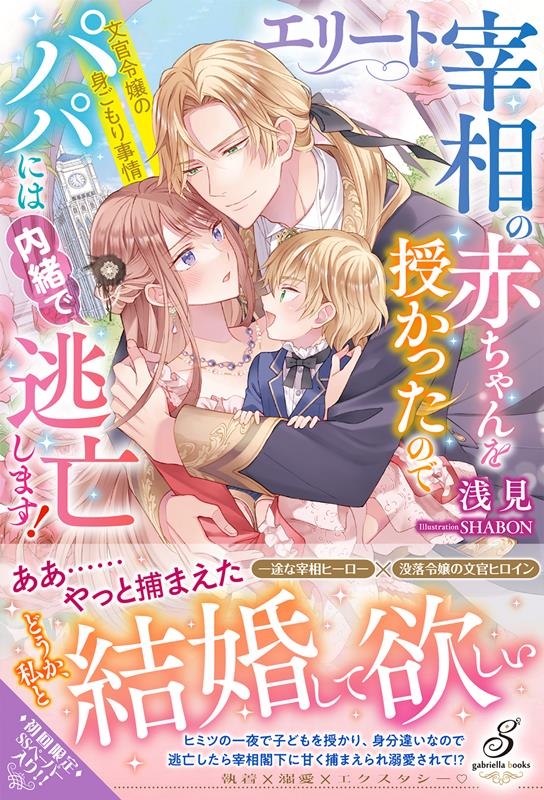 エリート宰相の赤ちゃんを授かったのでパパには内緒で逃亡します ガブリエラブックス MGB 096 エリート宰相の赤ちゃんを授かったのでパパには内緒で逃亡します ガブリエラブックス MGB 096