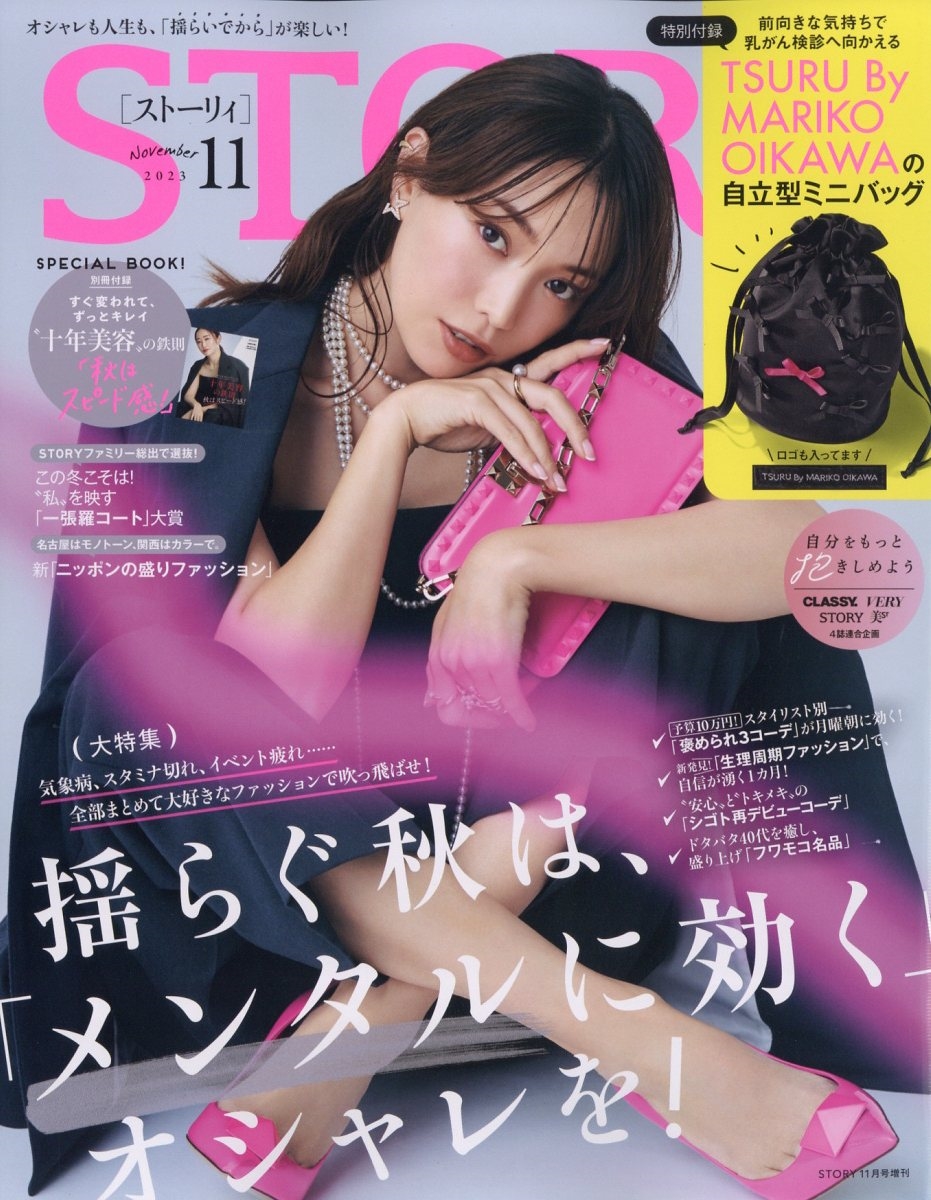 STORY(ストーリィ)増刊 2023年 11月号 [雑誌]