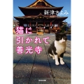 猫に引かれて善光寺 光文社文庫 に 14-19