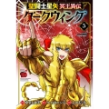 聖闘士星矢 冥王異伝 ダークウィング 5 チャンピオンREDコミックス
