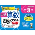 中級算数習熟プリント小学3年生 大判サイズ