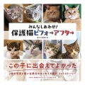 みんなしあわせ!保護猫ビフォーアフター