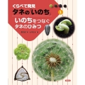いのちをつなぐタネのひみつ くらべて発見タネの「いのち」 1