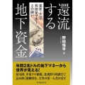 還流する地下資金 犯罪・テロ資金・核開発マネーとの闘い