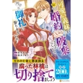 可愛い義妹が婚約破棄されたらしいので、今から「御礼」に参ります。2 レジーナCOMICS