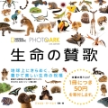 PHOTO ARK生命の賛歌 絶滅から動物を守る撮影プロジェクト