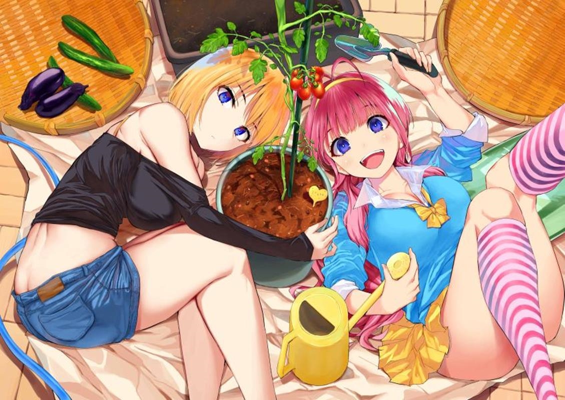 双子菜園 1 KCデラックス