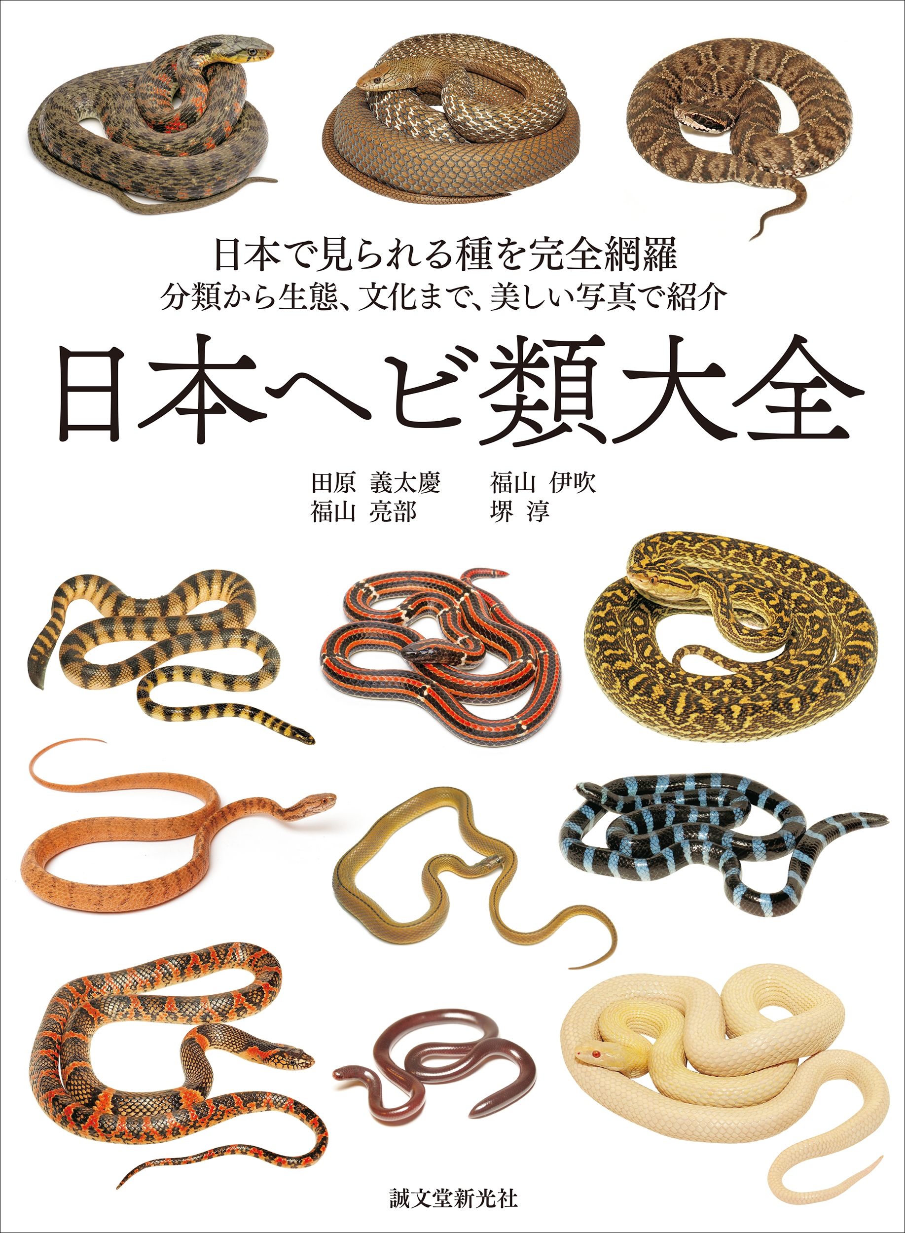 田原義太慶/日本ヘビ類大全 日本で見られる種を完全網羅 分類から生態、文化まで、美しい写真で紹介