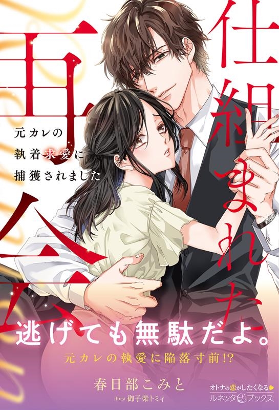 仕組まれた再会～元カレの執着求愛に捕獲されました～ ルネッタブックス カ 6-02