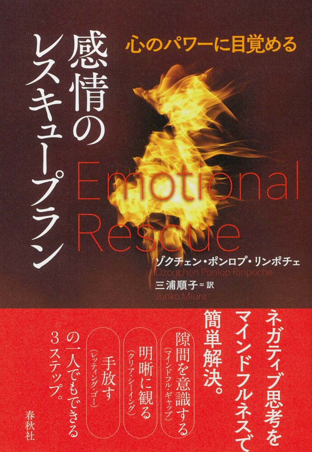 感情のレスキュープラン 心のパワーに目覚める