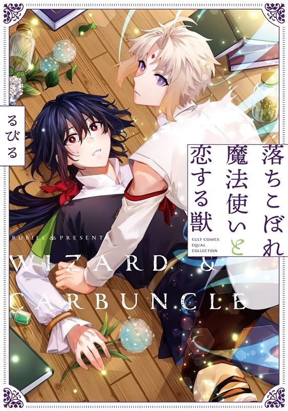 落ちこぼれ魔法使いと恋する獣 カルトコミックス equal collection