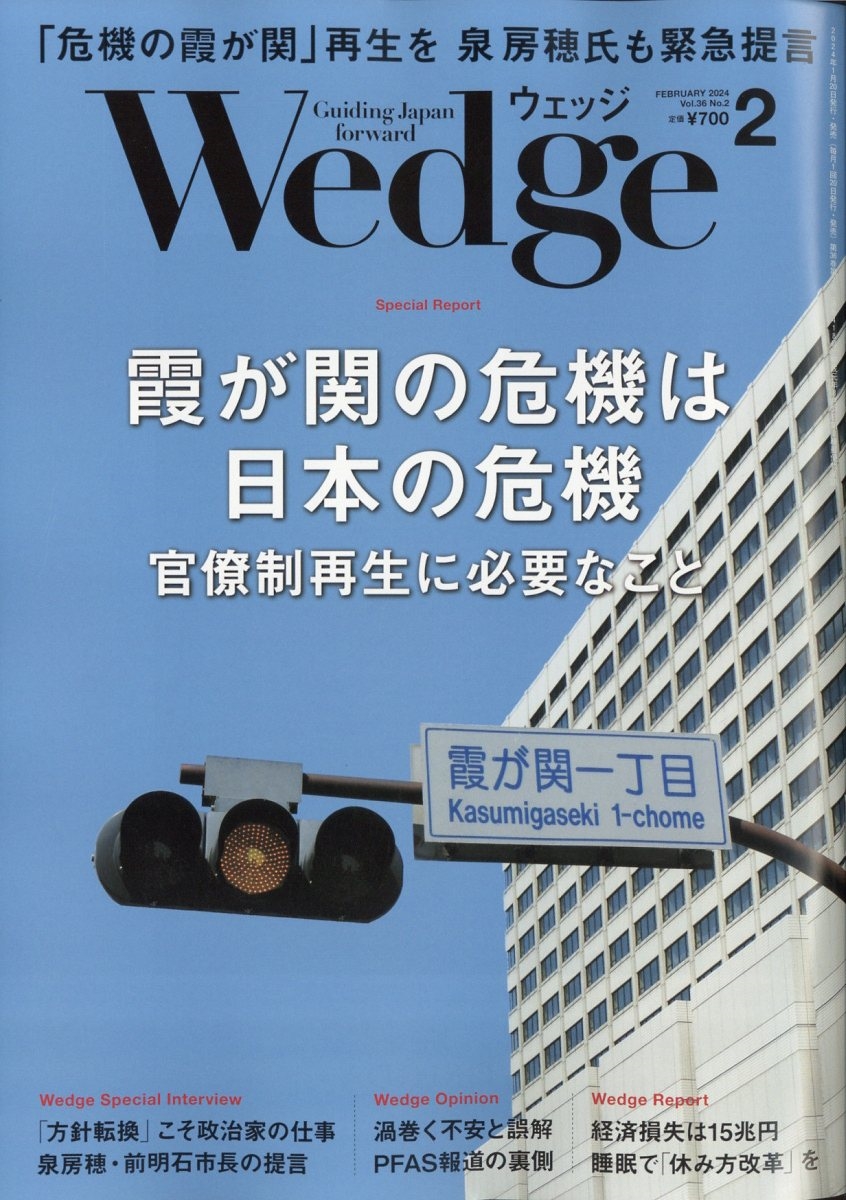 Wedge(å) 2024ǯ 02 [][11861-02]