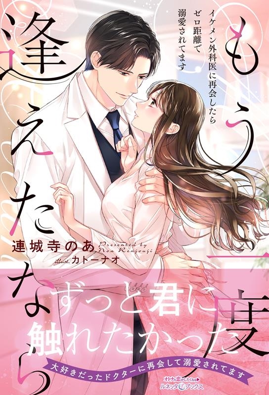 もう一度逢えたなら~イケメン外科医に再会したらゼロ距離で溺愛 ルネッタブックス レ 1-03 もう一度逢えたなら~イケメン外科医に再会したらゼロ距離で溺愛 ルネッタブックス レ 1-03