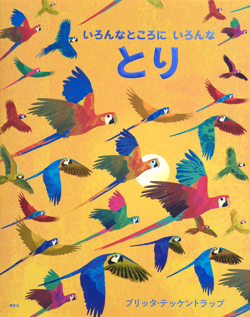 いろんなところにいろんなとり いろんなところにいろんなとり