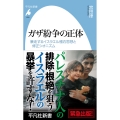 ガザ紛争の正体 (1055) 暴走するイスラエル極右思想と修正シオニズム