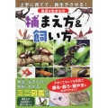 身近な生きもの 捕まえ方&飼い方