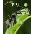ぜんぶわかる! アリ