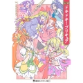 小説 ドキドキ!プリキュア