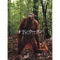 オランウータン 森のさとりびと