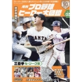 プロ野球ヒーロー大図鑑vol.02 スポーツアルバム