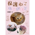 保護ねこものがたり