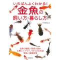 いちばんよくわかる!金魚の飼い方・暮らし方