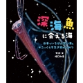 深海魚に会える海