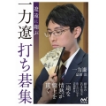 遼遠に翔ぶ 一力遼打ち碁集 マイナビ囲碁BOOKS
