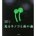 光るキノコと夜の森