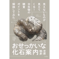 おせっかいな化石案内 見えないものが見えてくる! 古生物の観賞ポイントを解説してみた