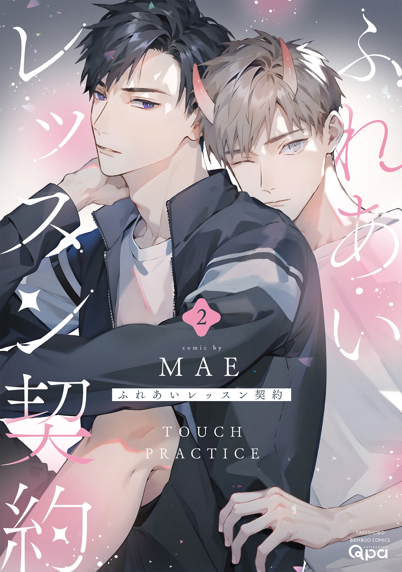 ふれあいレッスン契約 (2) ふれあいレッスン契約 (2)