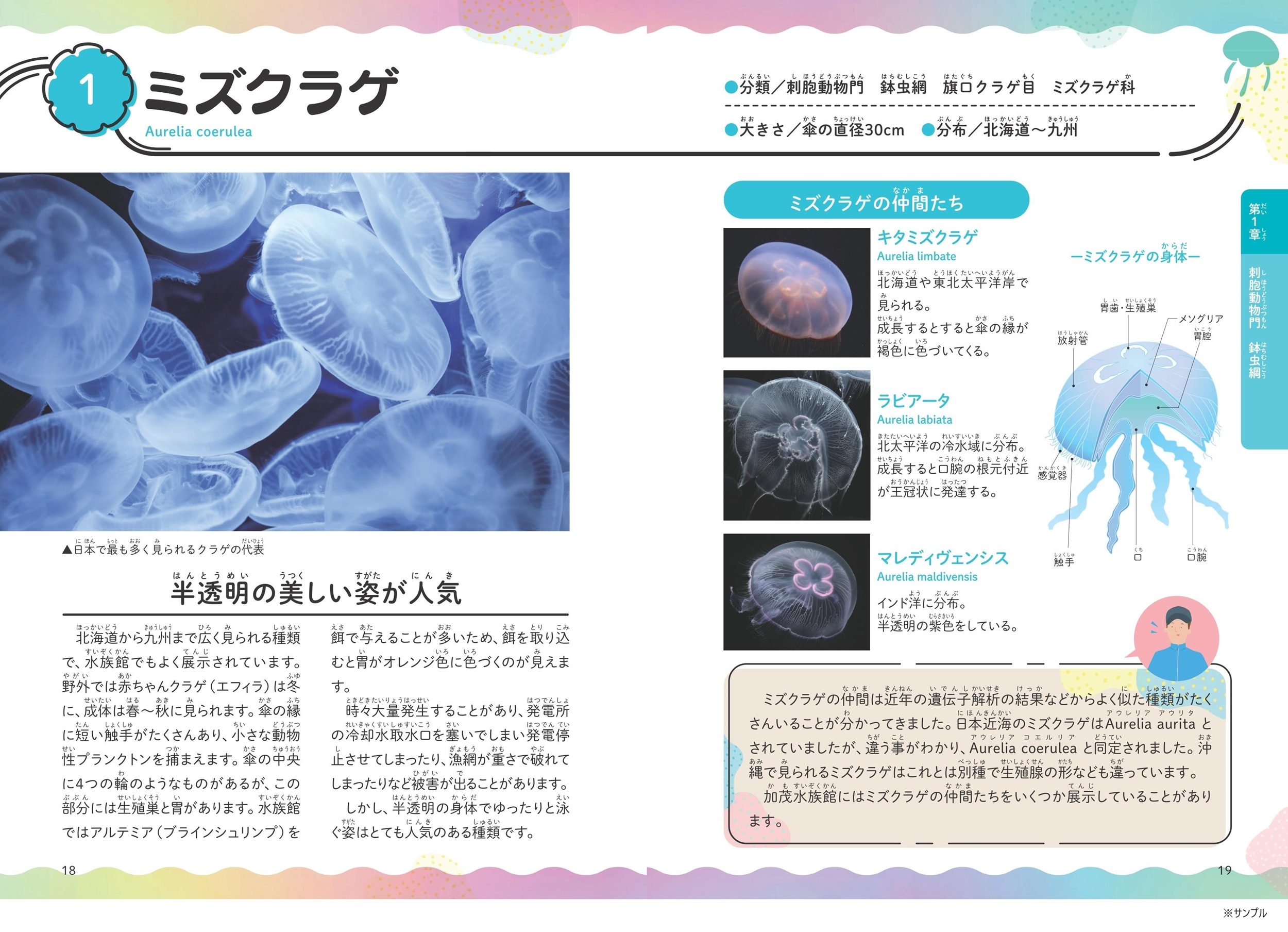 dショッピング |鶴岡市立加茂水族館 「みんなが知りたい! クラゲの