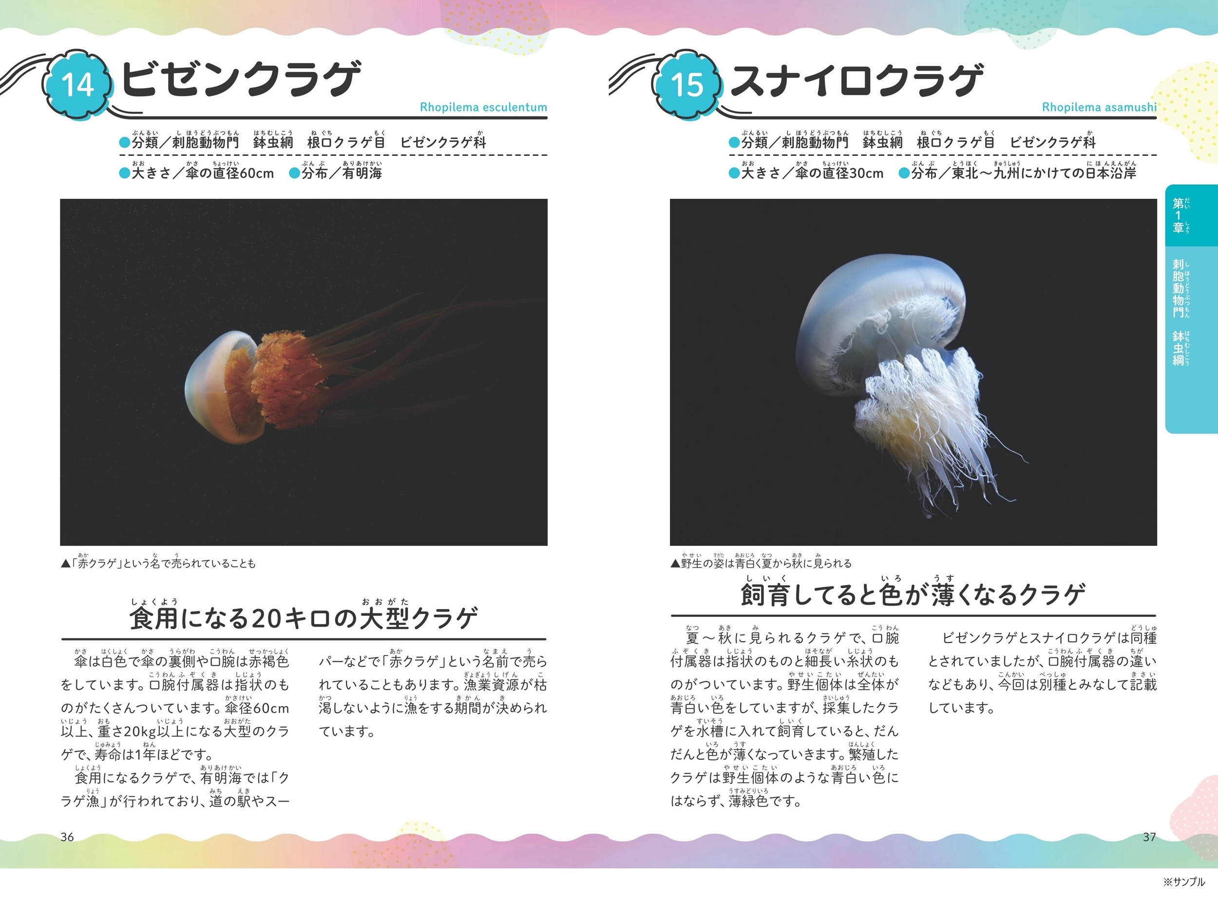 dショッピング |鶴岡市立加茂水族館 「みんなが知りたい! クラゲの