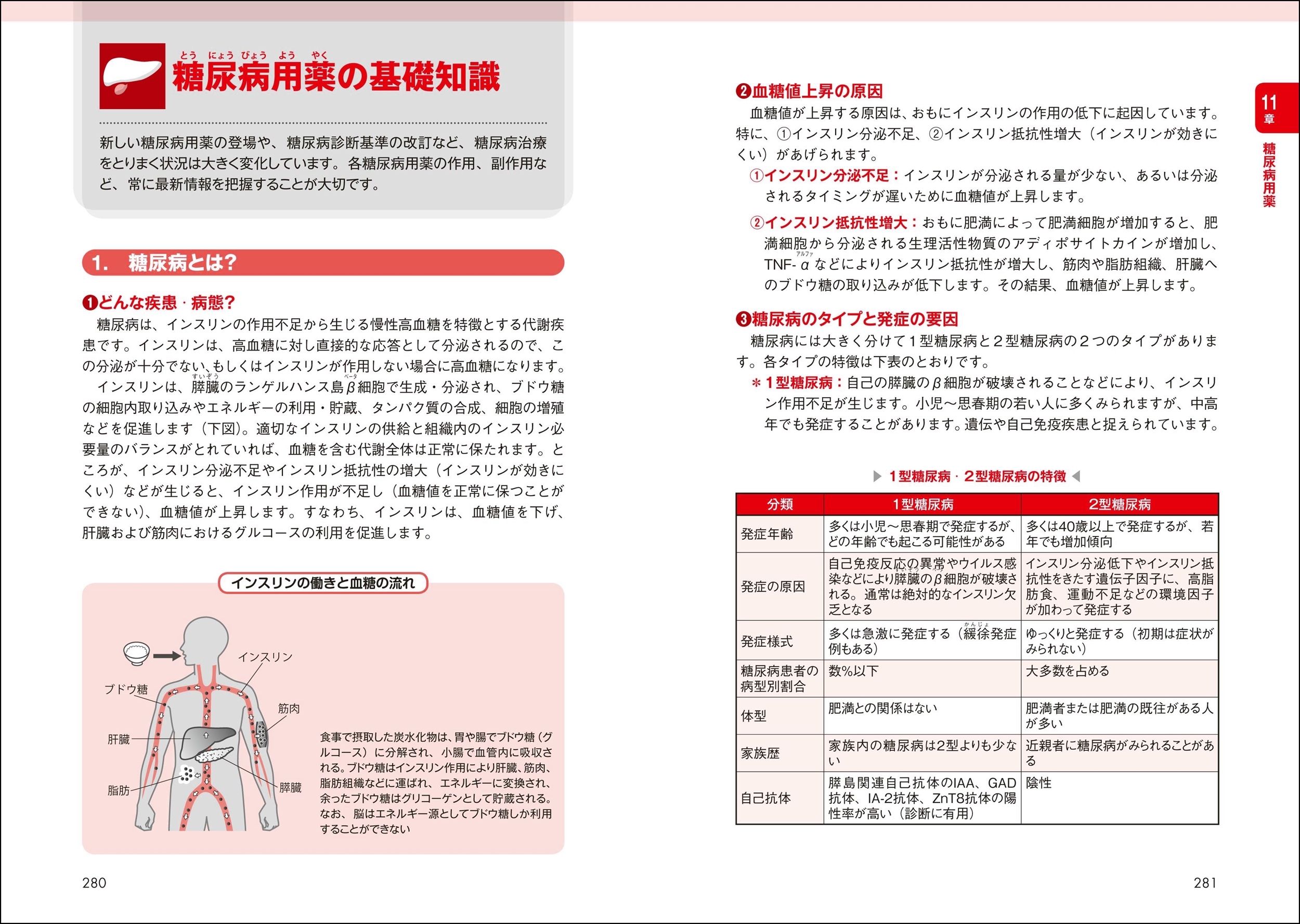 浜田康次/基礎からわかるハイリスク薬 第3版