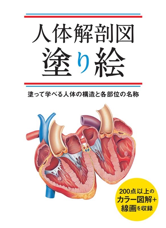 戸坂藤子/人体解剖図塗り絵 塗って学べる人体の構造と各部位の名称