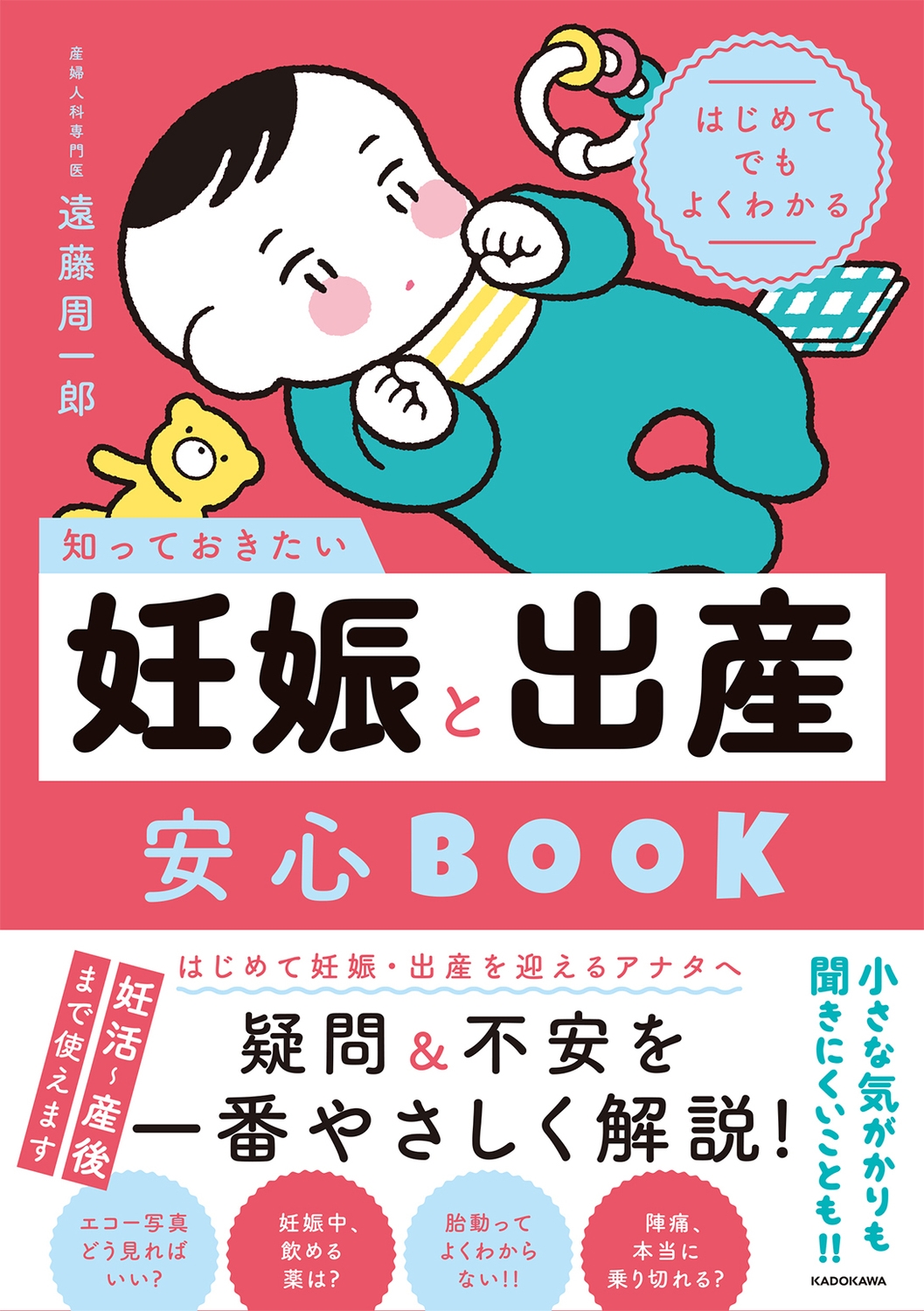 遠藤周一郎/はじめてでもよくわかる 知っておきたい妊娠と出産安心BOOK