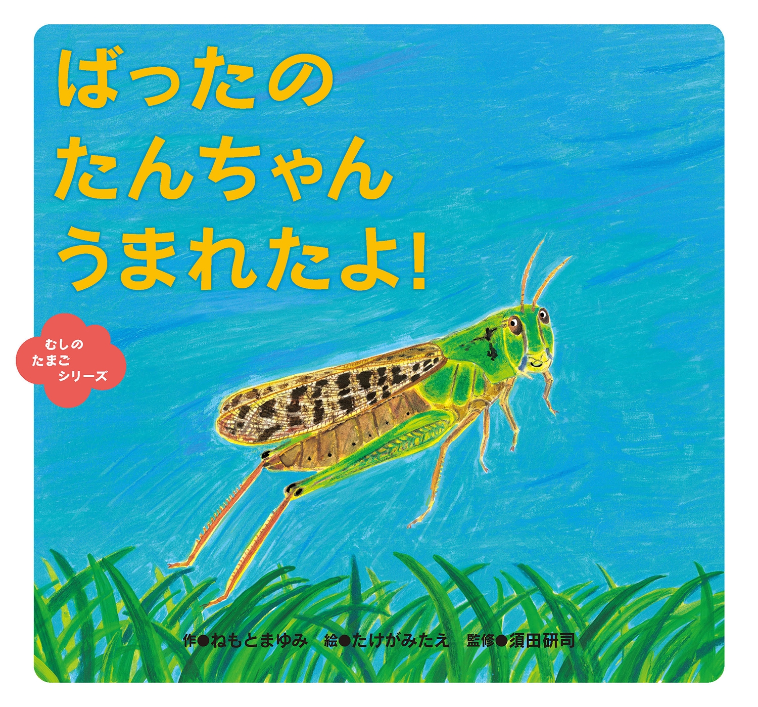 ばったの たんちゃん うまれたよ! ばったの たんちゃん うまれたよ!