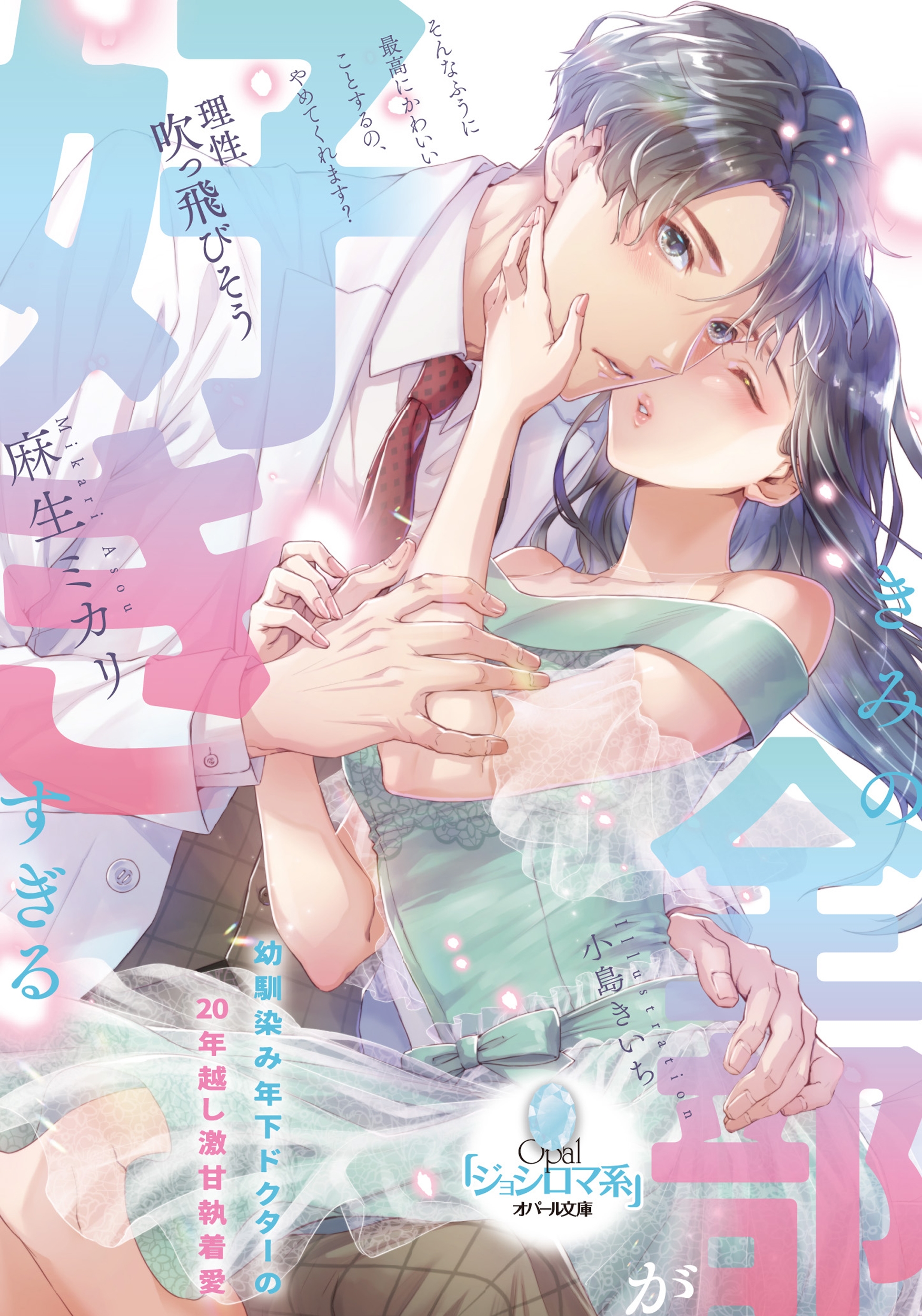 きみの全部が好きすぎる 幼馴染み年下ドクターの20年越し激甘執着愛 きみの全部が好きすぎる 幼馴染み年下ドクターの20年越し激甘執着愛