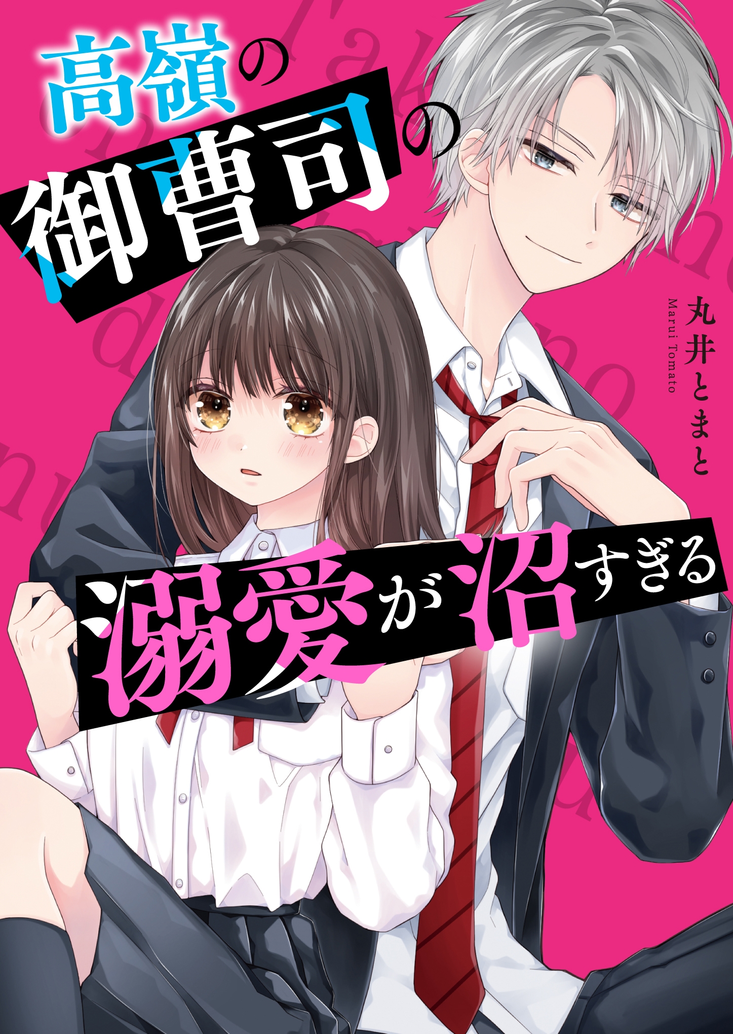 高嶺の御曹司の溺愛が沼すぎる 高嶺の御曹司の溺愛が沼すぎる