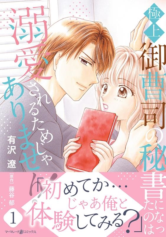 極上御曹司の秘書になったのは溺愛されるためじゃありません! マーマレードコミックス 極上御曹司の秘書になったのは溺愛されるためじゃありません! マーマレードコミックス