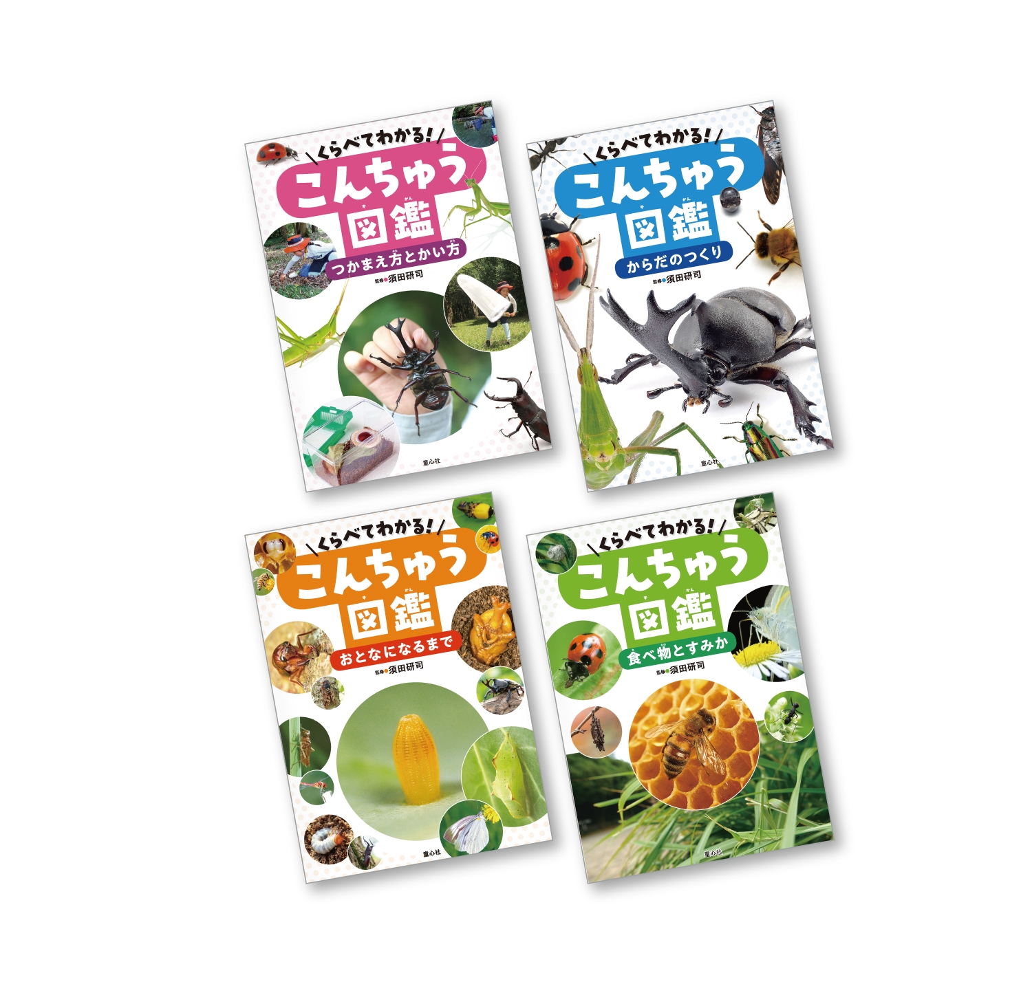 くらべてわかる!こんちゅう図鑑(全4巻) | 須田研司, グループ