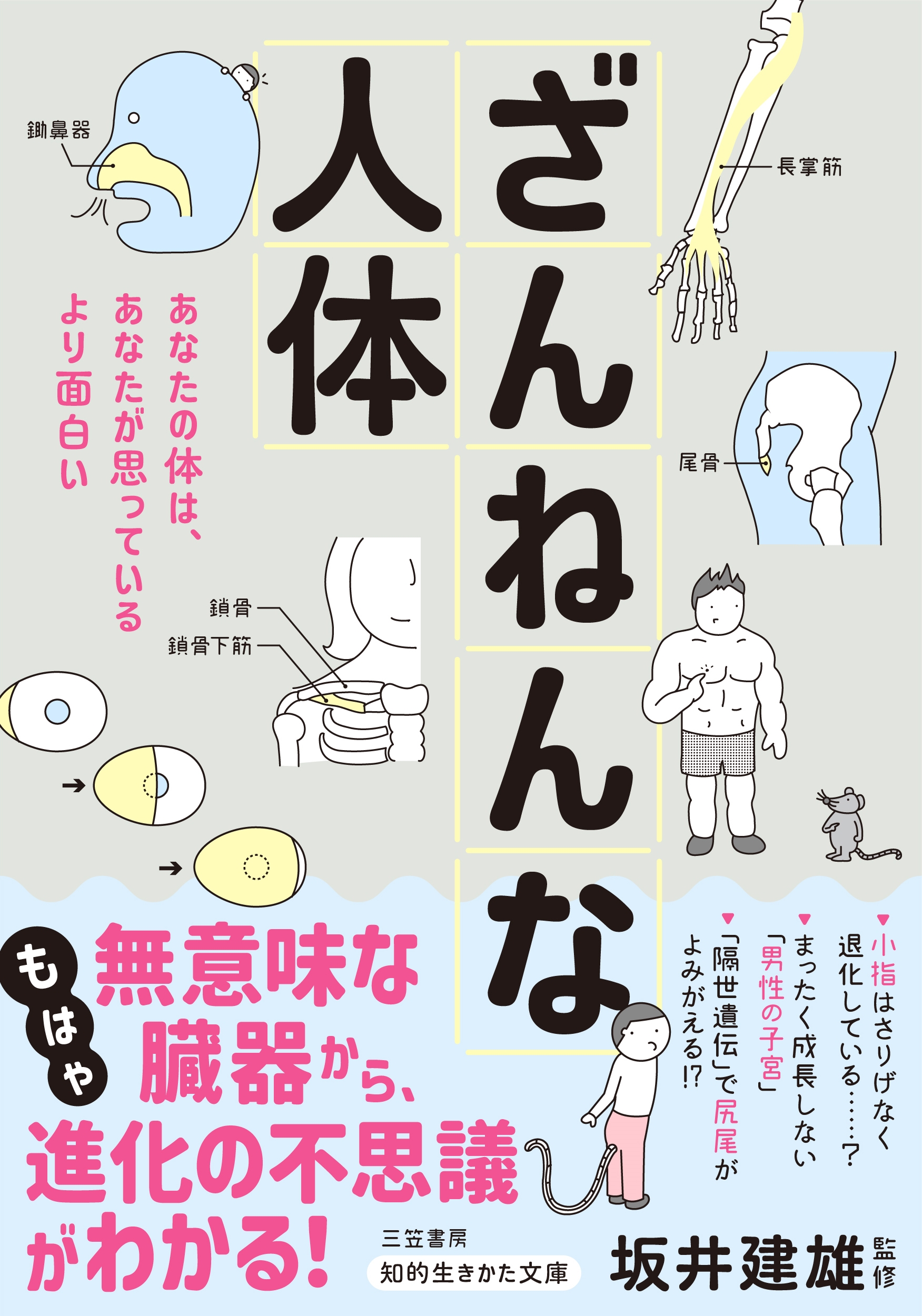 ざんねんな人体 もはや"無意味な臓器"から、進化の不思議がわかる! ざんねんな人体 もはや"無意味な臓器"から、進化の不思議がわかる!